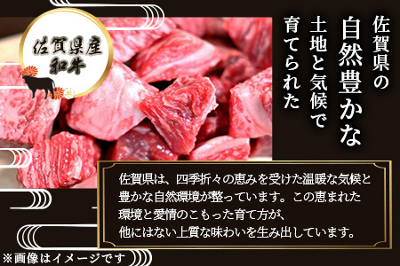 ＼生活応援／佐賀産 和牛 カレー・シチュー用 600g 佐賀産和牛 肉 佐賀 牛肉 佐賀県 鹿島市 冷凍 送料無料 人気 B-81