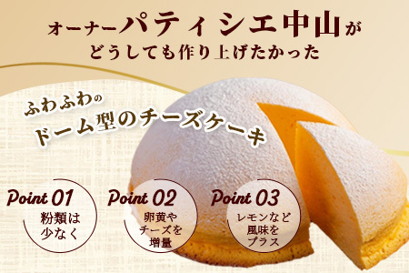 ふわしゅわ食感♪ドーム型スフレケーキ「はいチーズ」3種セット（プレーン・チョコ・いちご）｜お子様に人気 お祝い 誕生日 ギフト 贈答用 イベントスイーツ 佐賀県 鹿島市 送料無料 B-308