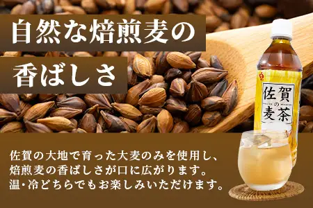 佐賀の麦茶 500ml×24本 無添加 ･ 無香料 香ばしい 《佐賀県産大麦焙煎 》 自然派 ビタミンC 香料カフェインゼロ 飲み物 飲料 大麦 国産 佐賀県産 水分補給 お茶 茶 焙煎麦 すっきり たっぷり ケース 佐賀県 鹿島市 送料無料 B-460