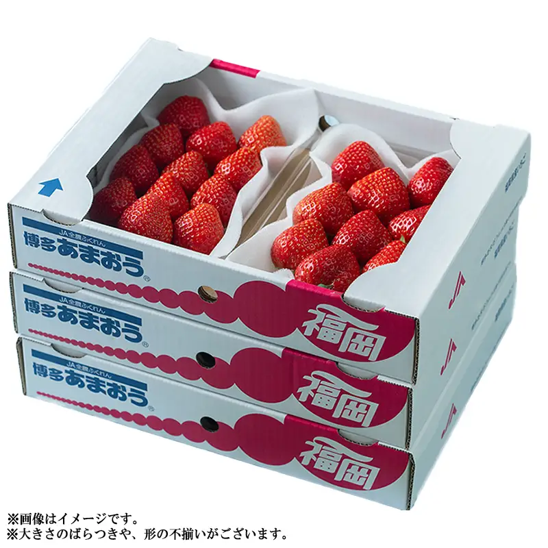 【先行予約／2027年出荷】【春】福岡産あまおう6パック 4A4