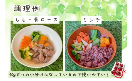 長野県産 軽井沢鹿工房 愛犬用 鹿肉 生肉セット  ペット ドッグ フード 新鮮 ヘルシー 無添加 低カロリー 低脂肪 栄養価 高い ご飯 食材 ミンチ もも 背ロース