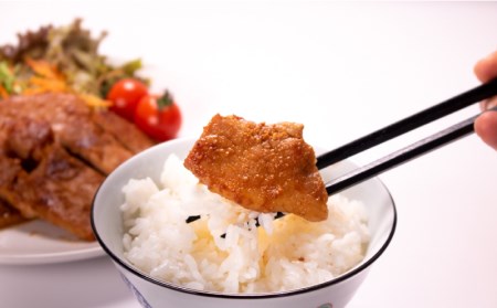 豚 味噌 漬け 9枚 900g 豚肉 ロース 小分け 冷凍 山口精肉店 下関 山口 肉特集 GD001