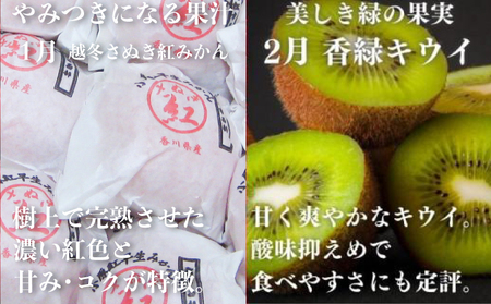 フルーツ定期便 12回 フルーツ いちご キウイ もも シャインマスカット みかん