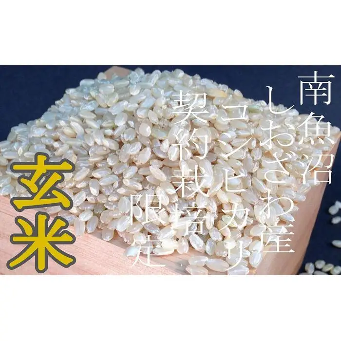 【令和7年産】【定期便5Kg×3ヶ月】●玄米● 生産者限定 南魚沼しおざわ産コシヒカリ【定期便 銘柄米 ブランド米 玄米 こしひかり コシヒカリ 魚沼産 新潟米 産地直送 お米 米 こめ コメ ご飯 御飯 ごはん】