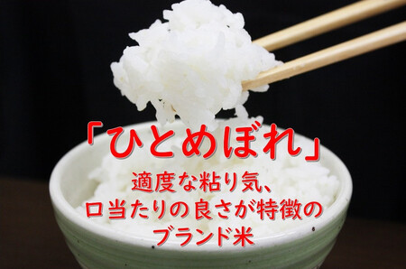 【白米】 1回のみ配送 5kg 令和7年産 ひとめぼれ 土作り実証米 秋田県産