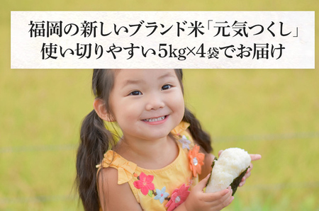 令和7年産　福岡県産ブランド米「元気つくし」白米20kg【11月上旬頃より順次出荷予定】