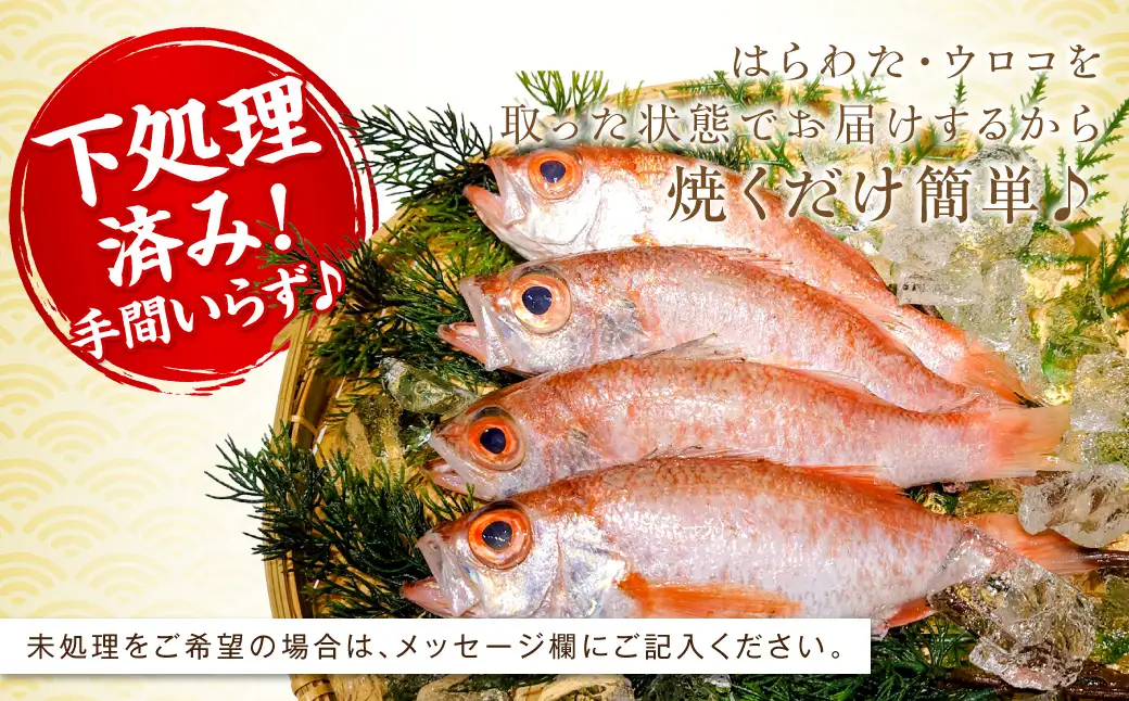 のどぐろ（鮮魚）1.2kg程度 処理済 のどぐろ 【006_2041】