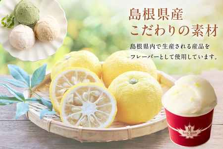 ジェラートセット おやつ お菓子 デザート スイーツ アイス ジェラート 冷菓 ギフト 贈り物 ご褒美 ひんやりグルメ お取り寄せ 【003_0642】