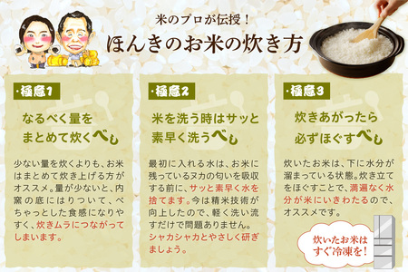 【令和7年産】ほんき村のこしひかり（10kg） お取り寄せ 特産 一等米 お米 精米 白米 ごはん ご飯 コメ 新米 生活応援 応援 準備 10キロ 10kg 10キロ 【197_1949】