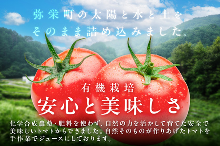 有機トマトジュース 6本 野菜 トマト トマトジュース 有機野菜 瓶 【041_1197】