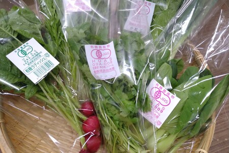 自然豊かな浜田市弥栄町で作られた「旬の野菜おまかせセット」 野菜 野菜セット 減農薬 旬 詰め合わせ セット おまかせ おたのしみ ギフト 【065_0493】