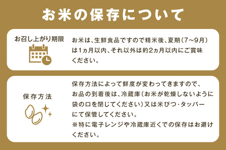 【令和7年産】【定期便】浜田市金城町産こしひかり（5kg×6回） 定期便 6回 こしひかり お取り寄せ 特産 お米 精米 白米 ごはん ご飯 コメ 生活応援 応援 準備 【058_1855】
