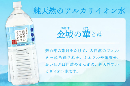 【定期便】ミネラルウォーター 金城の華 定期コース 2L 12回 （初回のみ7年保存水同梱） 定期便 天然水 飲料水 アルカリイオン 水 国産 長期保存 防災 備蓄 非常用 保存用 防災用 【043_1832】