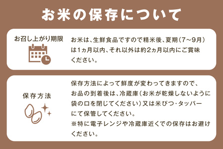 【令和7年産】【定期便】石見産「きぬむすめ」（5kg×3回コース） 米 お米 精米 白米 新生活 応援 準備 お取り寄せ 特産 定期 3回 【058_1816】