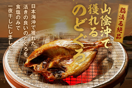 のどぐろ一夜干し 大きめ 計約700g（3～4尾） のどぐろ 干物 【024_1983】