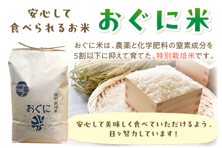 【定期便】【令和7年産】浜田市金城町産コシヒカリ「おぐに米」10kg定期便（6回コース）特別栽培米 定期便 10キロ 6回 米 お米 こしひかり 白米 特産品 お取り寄せ 精米 小分け 【071_2071】