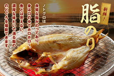 のどぐろ干物 特大2枚（計400g前後）のどぐろ本来の旨味に出会う渾身の干物 河野乾魚店 魚介類 魚貝類 干物 干もの 一夜干し 新鮮 厳選 海鮮 個包装 【019_1948】