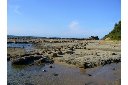 浜田市観光タクシー2時間コース（普通車：上限4名） 貸切 フリー 利用券 チケット 旅行 島根県 便利 観光 ドライブ 乗車券 移動 プレゼント 帰省 お盆 【158_1921】
