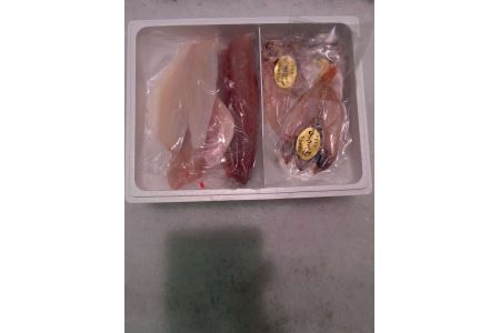 鮮魚と干魚のコラボセット 年6回定期便（偶数月配送） 定期便 6回 鮮魚詰め合わせ 鮮魚 干物 ひもの 冷蔵 お任せ セット 詰め合わせ 下処理済 一夜干し 【096_1697】