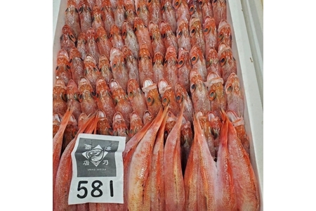 創業令和3年！何十年ぶりに浜田で鮮魚店誕生◎圧倒的気合の入ったイチオシ鮮魚 魚介類 魚貝類 鮮魚 魚 セット 詰め合わせ 【171_1640】