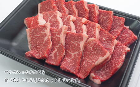 淡路牛カルビ焼肉 500g（250ｇ×2ＰＣ） 焼肉セット
