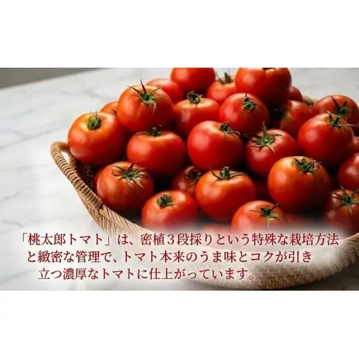 トマトジュース 谷川農園 桃太郎トマトジュース 500ml×2本《無添加》 北海道 安平町【1339510】