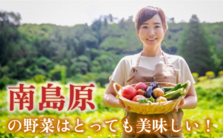 季節の野菜 15種類 セット 旬 産地直送 詰め合わせ / 野菜 やさい 新鮮 野菜セット / 南島原市 / ふるさと企画 [SBA023]
