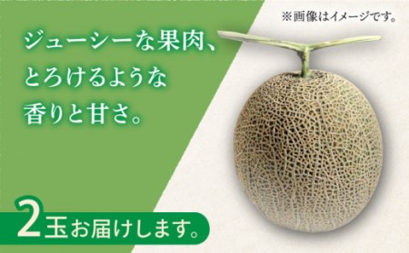 【2026年11月中旬-発送】アールス メロン (2玉) / メロン めろん メロン めろん メロン 青肉 果物 フルーツ / 南島原市 / JA島原雲仙東南部基幹センター [SAC004]