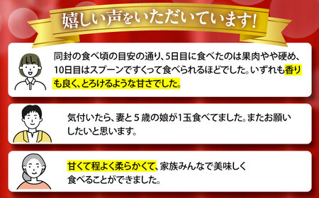 【2026年7月下旬-発送】【平成新山メロンPREMIUM（とみちゃん厳選）】アールスメロン 1玉 / メロン めろん 青肉 糖度 果物 くだもの フルーツ ふるーつ 旬 高級 ギフト / 南島原市 / うえだメロン園 [SAD005]