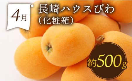 【6回】フルーツ定期便 旬のフルーツ [SDZ022]
