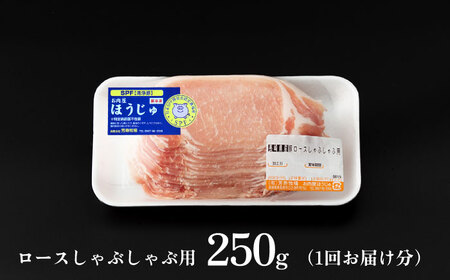 【12回定期便】豚肉しゃぶしゃぶセット 豚肉[SEI010] 