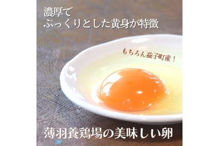 野菜 定期便 卵付き 旬の野菜セット 2人用 6ヶ月定期便 益子町 AA034