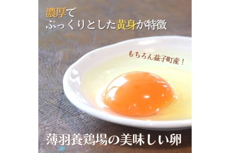 野菜 定期便 卵付き 旬の野菜セット 4人用 【6回】 益子町 AA007