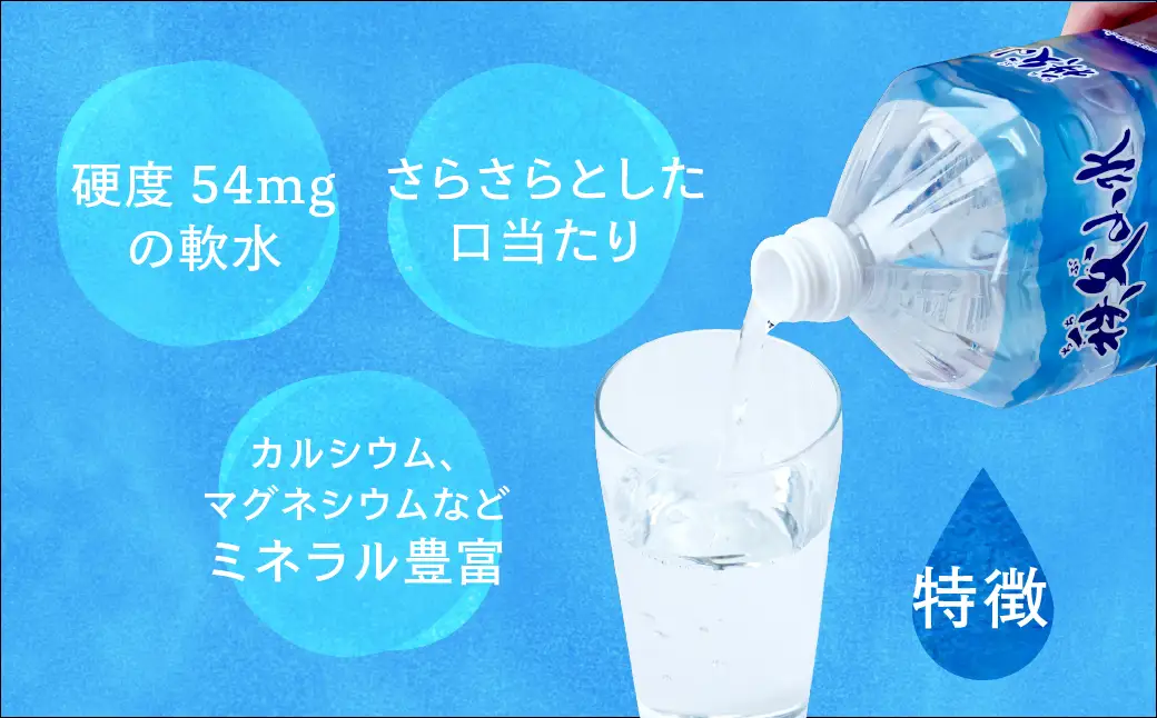 秩父の天然水「秩父山水」2L×20本｜1年保存可 天然水 ミネラルウォーター 横瀬町