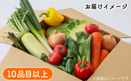 地元農家さんが収穫した旬のお野菜  10種詰め合わせ / 野菜 旬 新鮮 採れたて 季節野菜 旬野菜 農家直送 / 南島原市 / ミナサポ [SCW022]