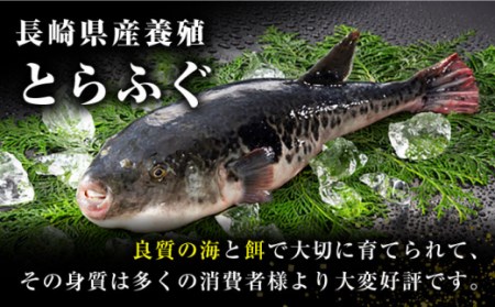長崎県産 とらふぐ刺身4人前 / ふぐ フグ 河豚 トラフグ ふぐ刺し / 南島原市 / 大和庵 [SCJ001]