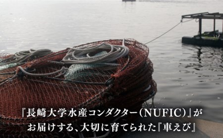海鮮車えび・長崎ちゃんぽん（冷凍） ４食入り / 南島原市 / 三ツ池 [SCK002]