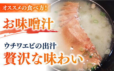 【2026年先行予約】うちわえび約500g（3-9尾） 五島市/五島FF[PBJ011] 希少 ウチワエビ うちわエビ 海老 えび 旬 新鮮 海鮮