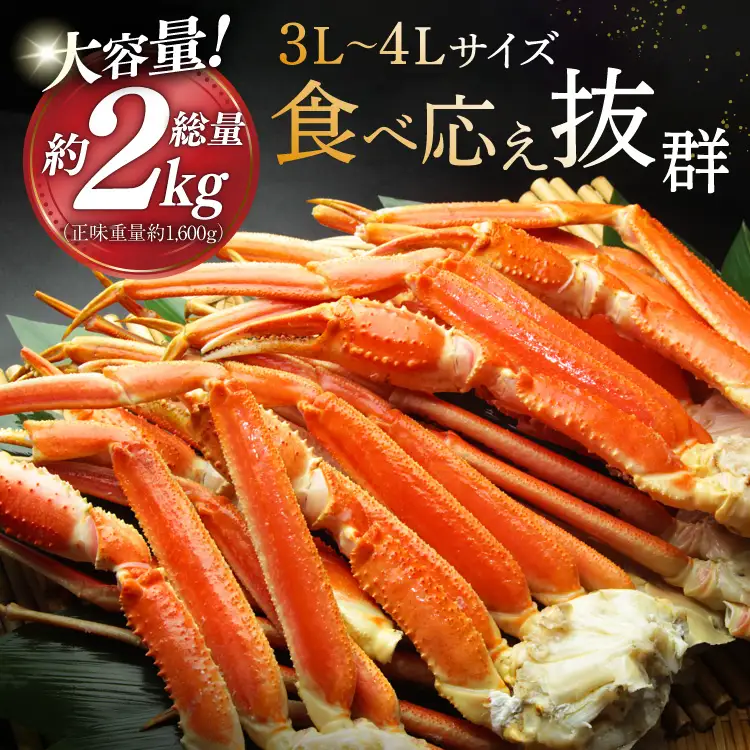 本ずわいがに 脚 3L～4L 総重量 2kg かに 蟹 カニ [宮城県 気仙沼市 20564764]