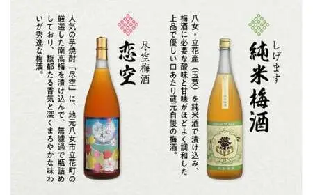 【ギフト用】八女の極上梅酒セット（ギフト対応）純米酒仕込み 飲み比べ 本格梅酒 ロック お酒 ギフト プレゼント 福岡県 八女市 015-013-GFT