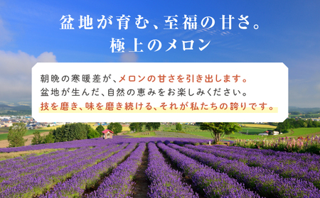 【2026年6月～発送】富良野 赤肉 メロン 4～6玉入 計約8kg 大玉 (相馬農園) メロン フルーツ 果物 北海道