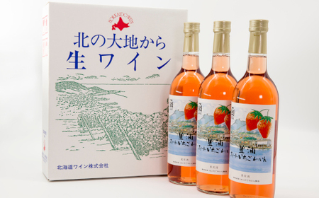 北海道 豊浦 いちご ワインセット【6本】