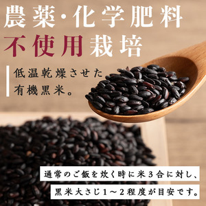 有機JAS認証 黒米 400g×3袋 ご飯 米 炊き込みご飯 モチ米 小分け 【有機農園ファーミン株式会社】tm113
