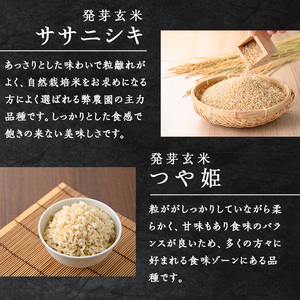 発芽玄米パックご飯3種セット 150g×16パック 金のいぶき つや姫 ササニシキ 発芽玄米 黒米 発芽玄米 レンジ 有機栽培 パックライス ご飯 米 レンチン 【有機農園ファーミン株式会社】 tm114