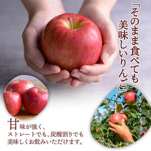 ≪登米市産りんご100%使用≫ りんごジュース 2本セット (1000ml×2本) りんご リンゴ 林檎 ジュース リンゴジュース 飲み物 飲料 フルーツ 果物 水分補給 ドリンク 【協同組合産直なかだ愛菜館】tm221