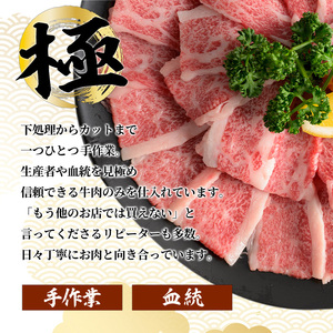 仙台牛 サーロインステーキ 約600g ( 約200g × 3枚 )  登米市産 牛肉 お肉 にく 宮城県産 国産【有限会社小竹精肉店】tm014