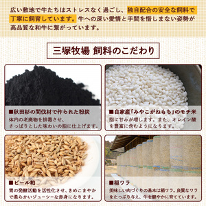 仙台牛 サーロインステーキ 400g(200g×2枚) 登米市産 牛肉 お肉 にく 宮城県産 バーベキュー【三塚牧場】tm028