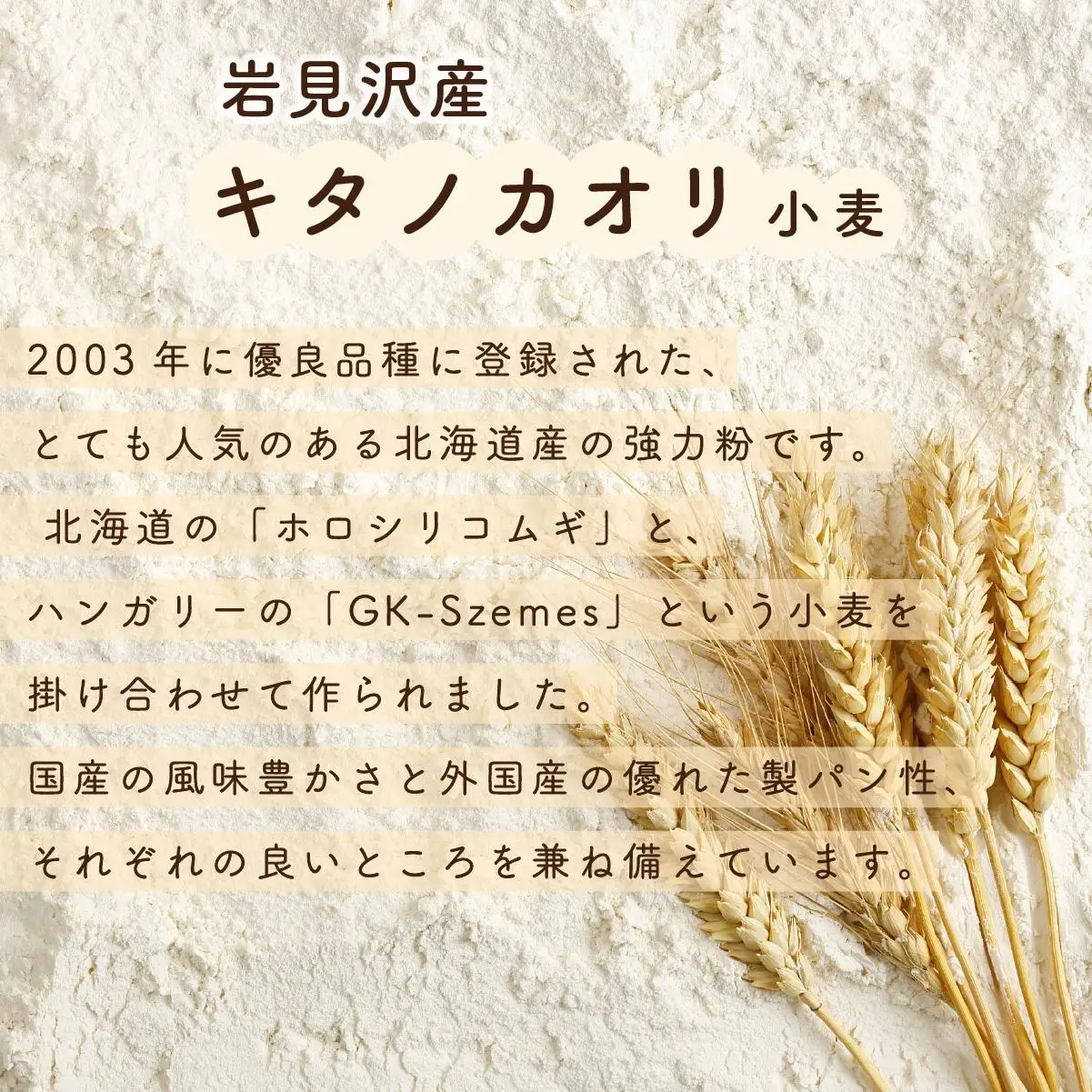そのままでしっとりモチモチおいしい生食パン！北海道産小麦の生食パン3本セット｜ ベーカリーカンスケ【19115】