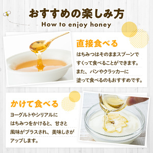 国産はちみつと巣蜜_国産はちみつ 180g × 2個 計 360g 巣蜜 セット 瓶 はちみつ 国産 純粋はちみつ 天然のはちみつ 栄養 豊富 低カロリー トースト ホットケーキ ヨーグルト シリアル パン クラッカー にたばる養蜂場 食品 常温 おすすめ お取り寄せ 福岡県 久留米市 送料無料 〔Ca028〕