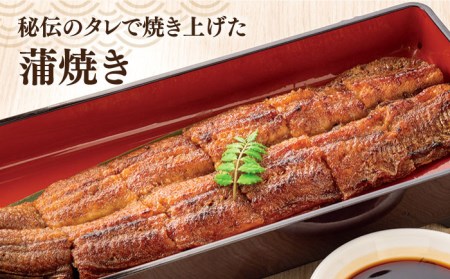 【お中元対象】北ノ屋 (梅) うなぎ 蒲焼き 2尾セット 糸島市 / 北ノ屋うなぎ [ACL003] 鰻 かばやき